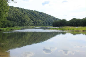 Another scenic view of the Allegheny.